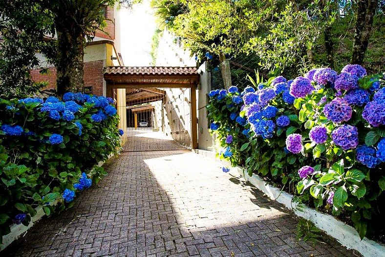 Morada das Hortênsias lindo e acolhedor no Centro